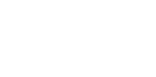 12Nexus